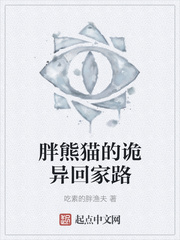 胖熊猫的诡异回家路