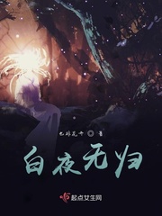白夜无归