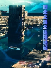 创业之路之集团崛起
