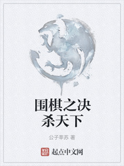 围棋之决杀天下