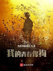 我的青春像狗