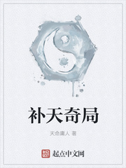 补天奇局