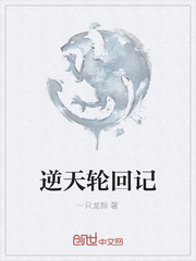 逆天轮回记