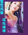 紫雪风暴（起点）