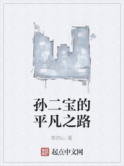 孙二宝的平凡之路