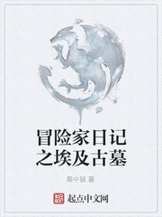 冒险家日记之埃及古墓