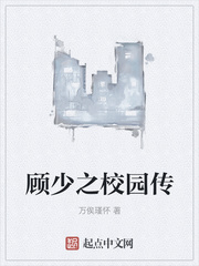 顾少之校园传