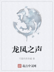 龙凤之声