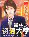 重生之资源大亨下载TXT