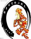 修身在宠物小精灵
