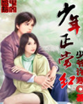 少年正当红
