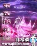 天玄阵神师