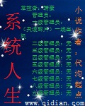 系统人生