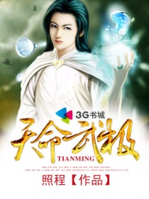 天命武极