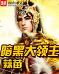 暗黑大领主