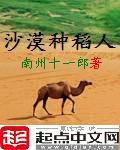 沙漠种稻人