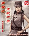 穿越之血战中华