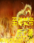 至尊焚帝