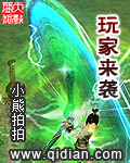 玩家来袭小说