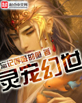 灵宠幻世