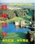 重生利兹古堡大公