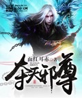夺天邪尊