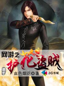 网游之护花盗贼
