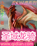 圣域龙骑