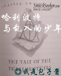 哈利波特与乱入的少年