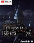 哈利波特之魔高一丈