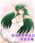 叛逆的中华王女