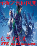 火凤凰之永恒国度