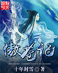 傲苍记