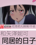 和矢泽妮可同居的日子