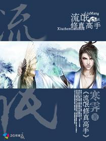 流氓修真高手