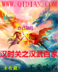 汉时关之汉武百家