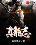 真龙志