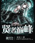 贤者巅峰