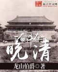 奋斗在晚清