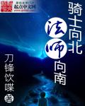 骑士向北法师向南