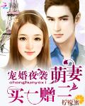 宠婚夜袭：萌妻买一赠二