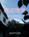 鹰戒情缘