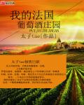 我的法国葡萄酒庄园