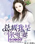 傲娇大小姐：总裁，我是你前妻