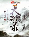 天启实录