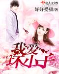 我爱坏小子