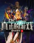 真正的游戏