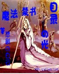 魔法禁书目录的光