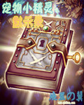 宠物小精灵默示录