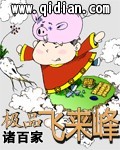 极品飞来峰